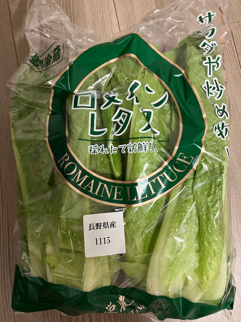 ロメインレタス長野産