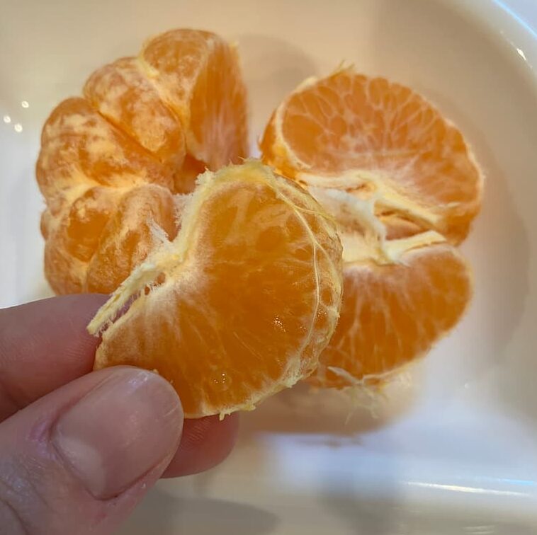 マーコット房